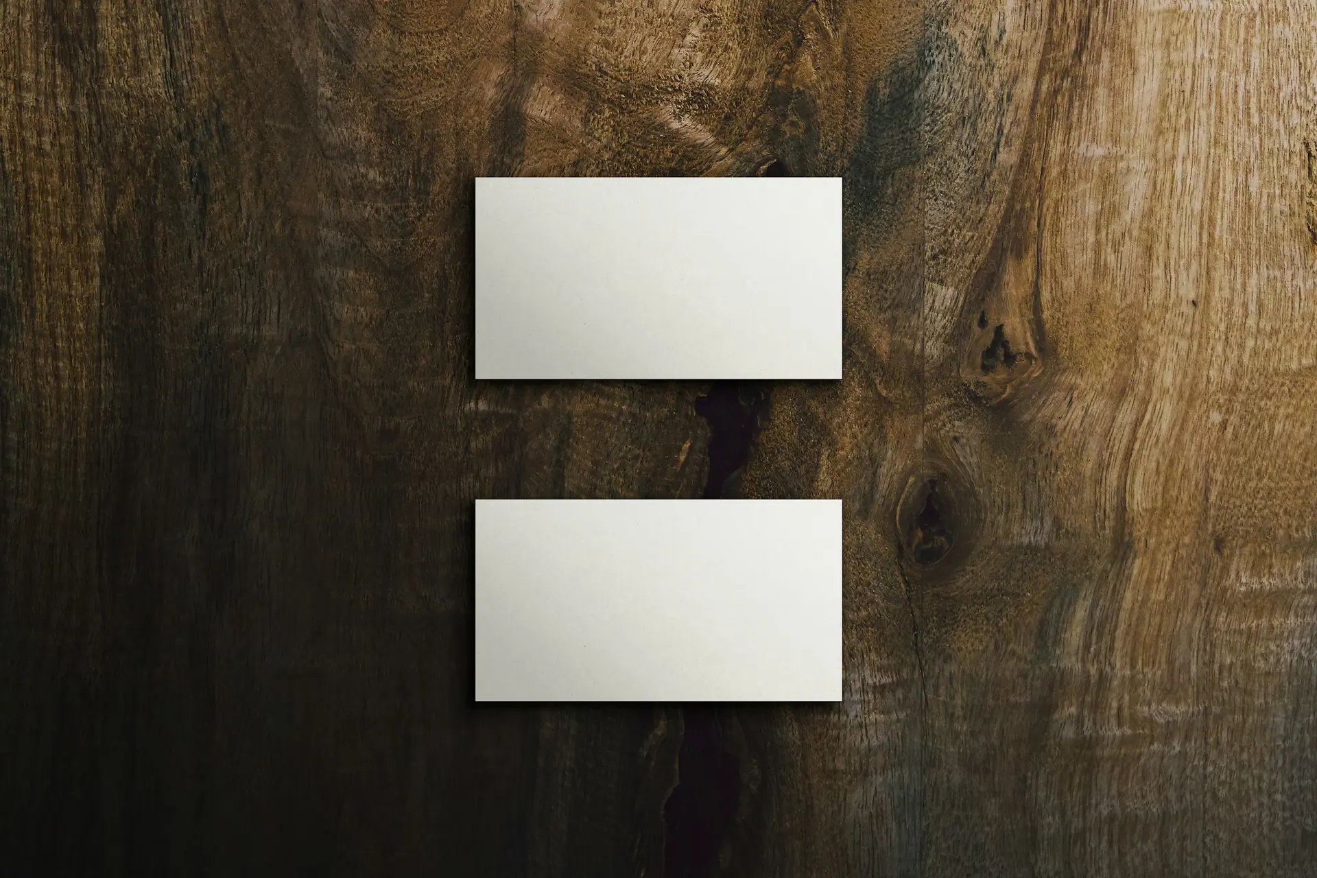 Premium brand stationery in neutral tones with refined detailing.