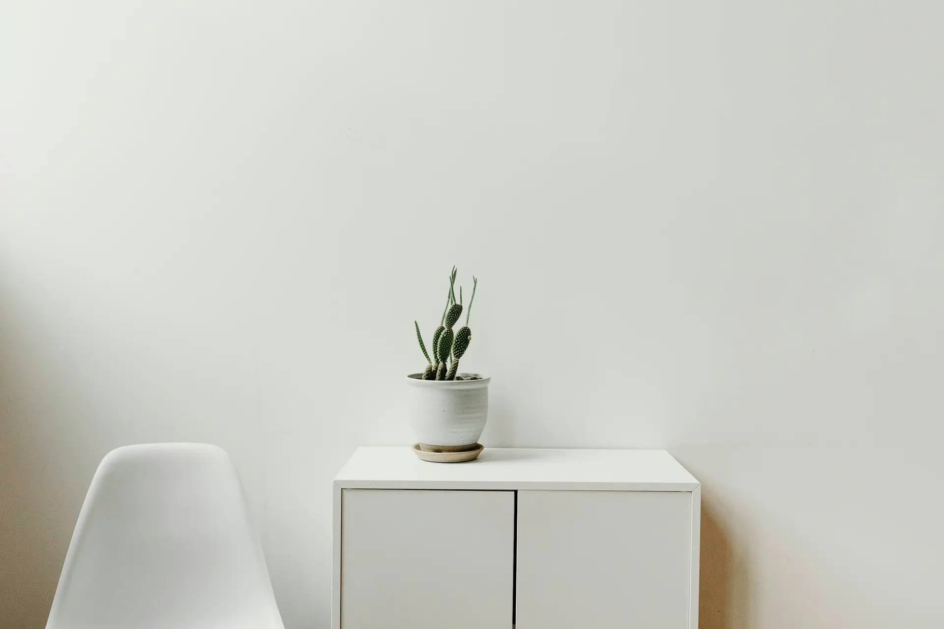 Calm, light-filled editorial design studio surface with neutral tones and considered composition.