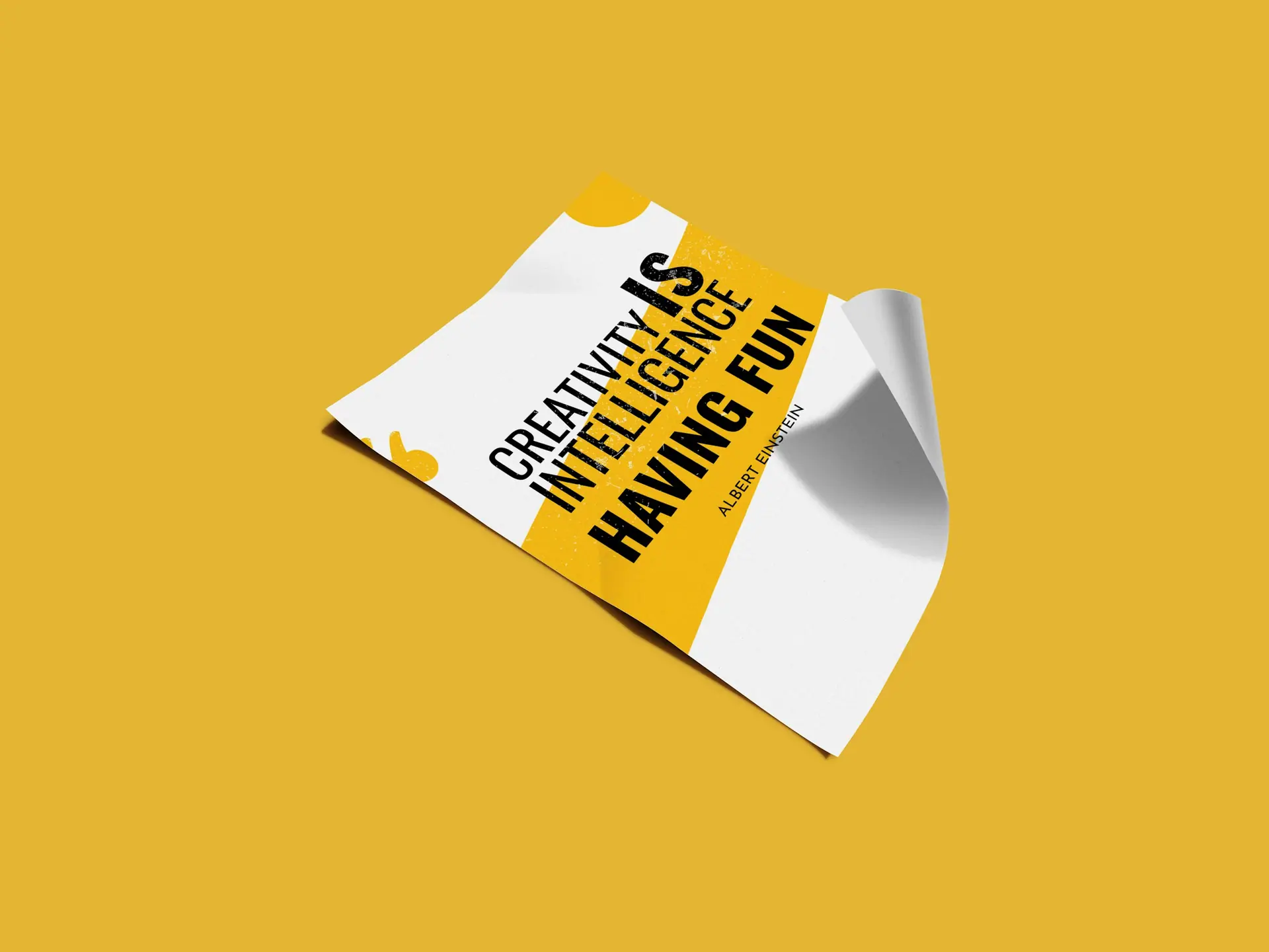 Printed marketing design materials arranged in a neutral composition.